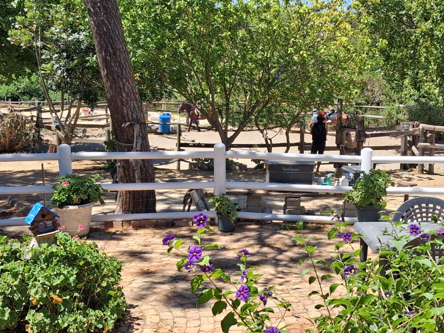 3 Bedroom Property for Sale in Bot River Western Cape